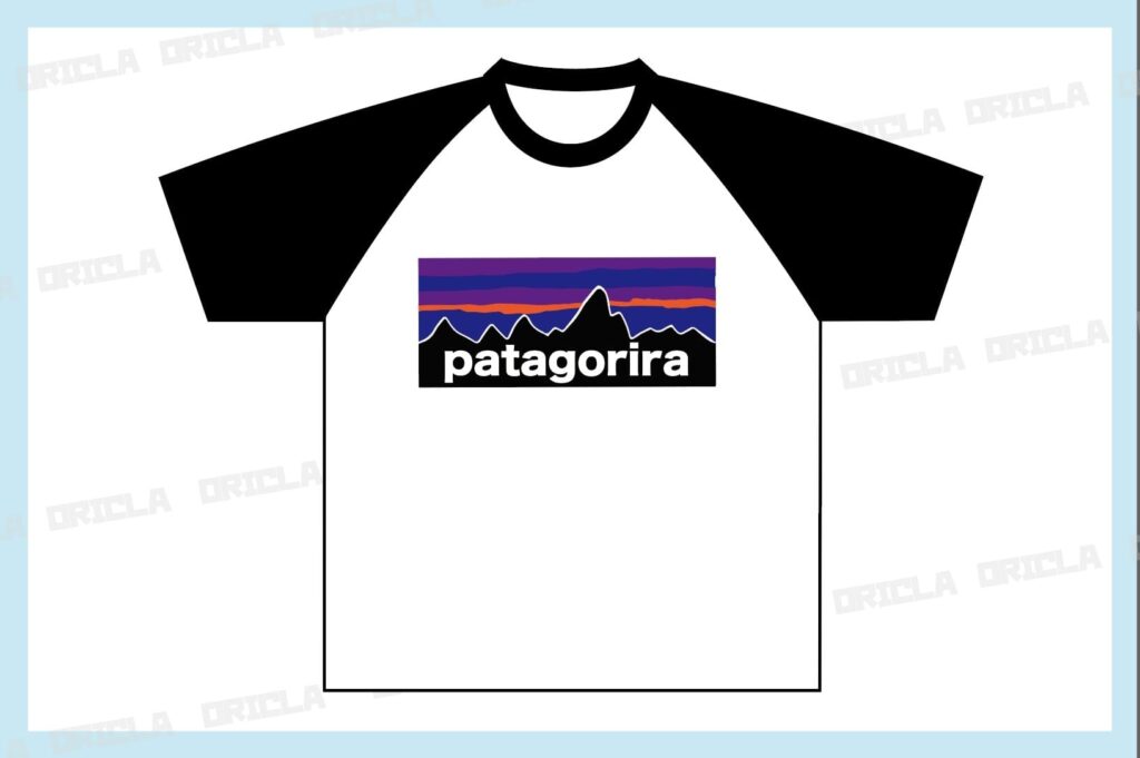 Patagonia（パタゴニア）クラスTシャツ２