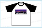 Patagonia（パタゴニア）クラスTシャツ２